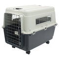 Airline Approved Plastic Dog Kennel with Wheels, Large